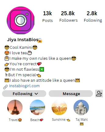 Instagram Cool Bio for Girls